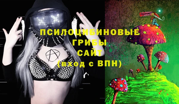 бошки Алексин