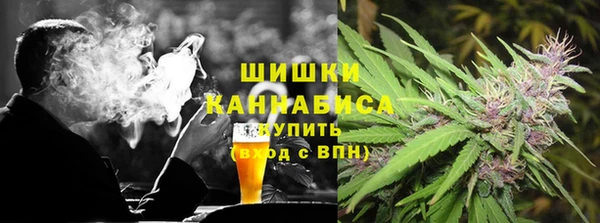 бошки Алексин