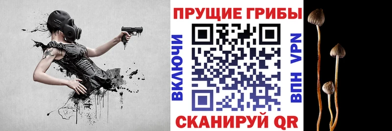 Псилоцибиновые грибы GOLDEN TEACHER что такое Мантурово